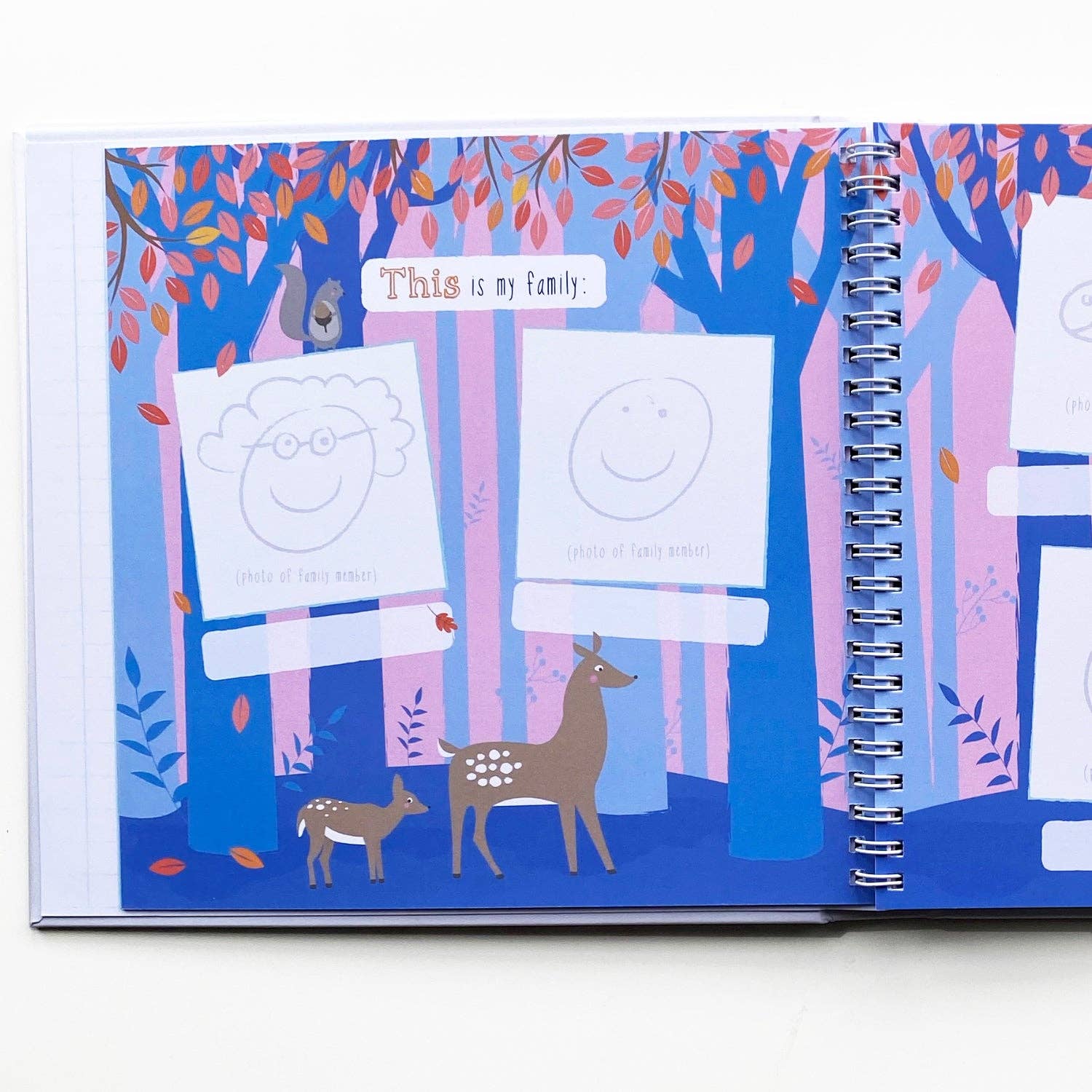 The Tale of Me & The New Baby - Grace and Fox