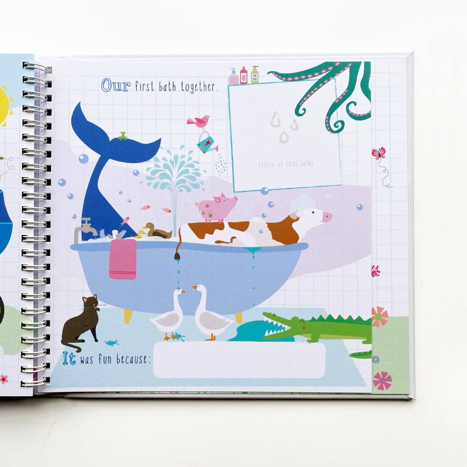 The Tale of Me & The New Baby - Grace and Fox