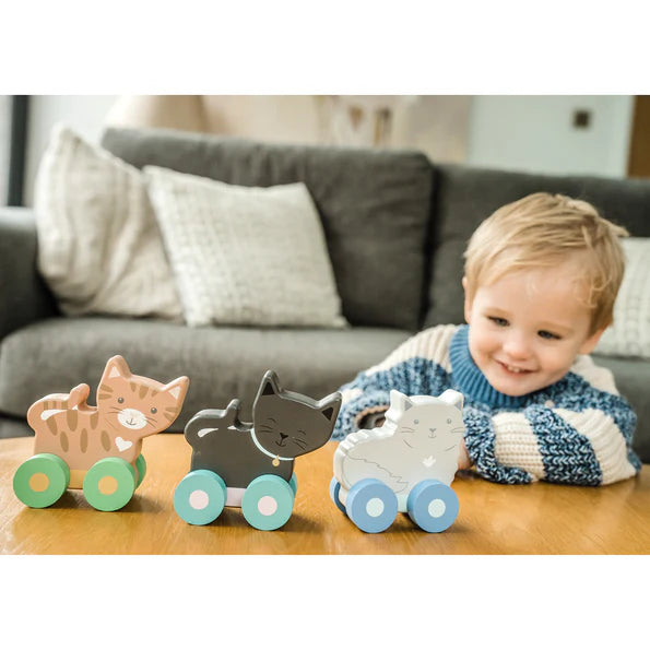 Orange Tree Toys Kitty Push Toys