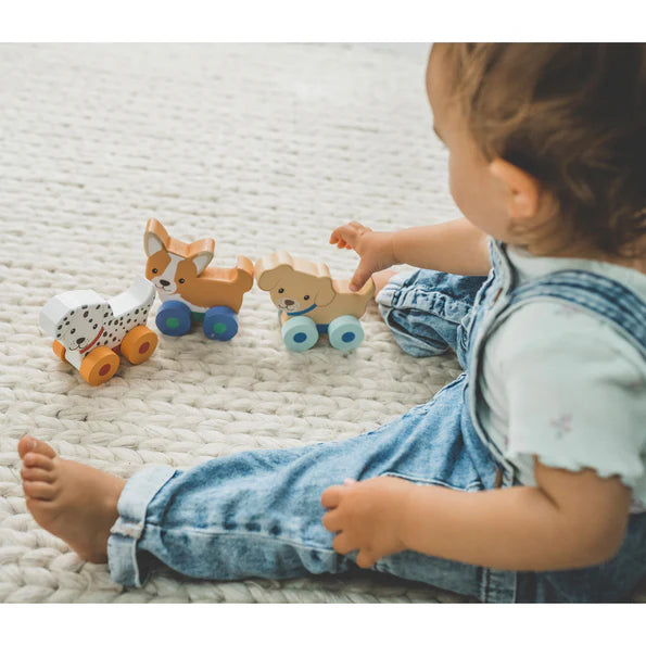 Orange Tree Toys Puppy Push Toys