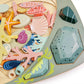 Tender Leaf Toys My Little Rock Pool - Grace and Fox