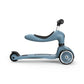 Scoot & Ride Highwaykick 1 Scooter - Steel